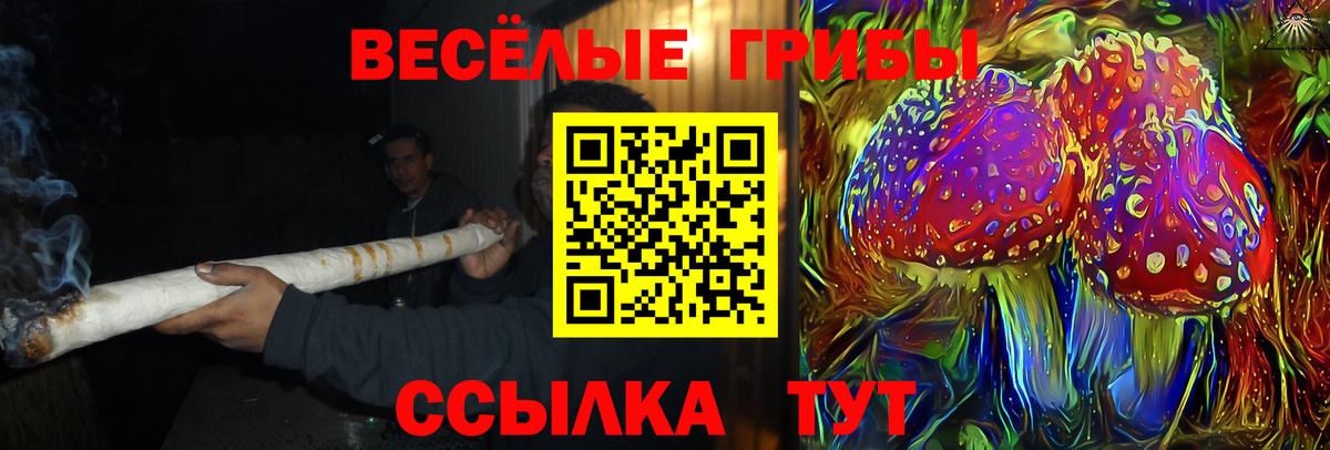 Галлюциногенные грибы Psilocybe  Псилоцибиновые грибы ЛСД  Миллерово  Вход с VPN 