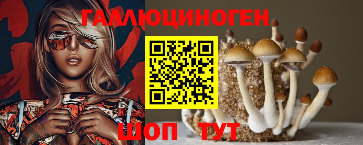 Галлюциногенные грибы Cubensis Миллерово